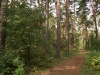 park-gagarina33