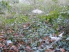city-waste-2-velp