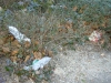 city-waste-3-velp