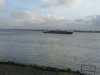 Rhine
