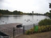 The Round pond, Hyde park, 3