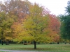 Hyde park, London, 1