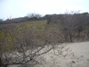 kijkduin-march2012-001