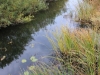 gumbeika-river