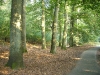 veluwezoom-summer-1