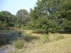 veluwezoom-summer-4