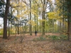 het-bos-verwolde