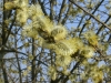 vesoul-france-03-2012-003