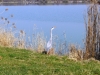 vesoul-france-03-2012-005