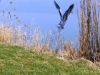 vesoul-france-03-2012-006