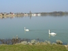 vesoul-france-03-2012-009