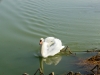 vesoul-france-03-2012-010