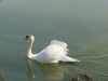vesoul-france-03-2012-011