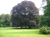 Beech-Zypendaal-Arnhem